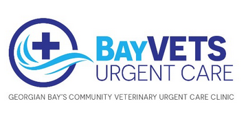 BayVETs Urgent Care