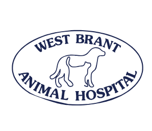 West Brant Animal Hospital