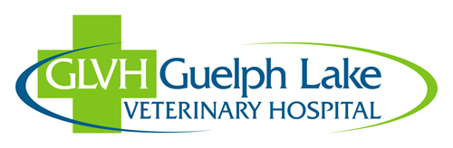 Guelph Lake Vet Hospital