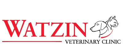 Watzin Veterinary Clinic