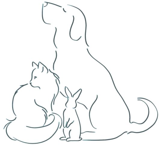 East Plains Animal Hospital