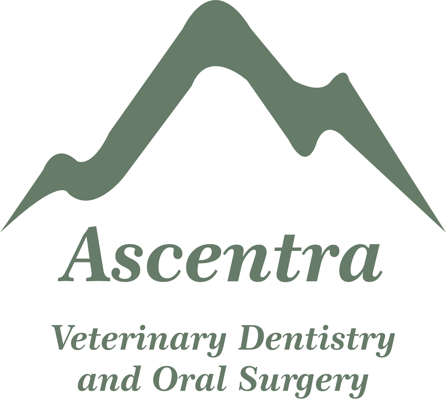 Ascentra Veterinary Dentistry and Oral Surgery