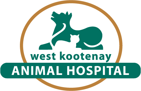 West Kootenay Animal Hospital
