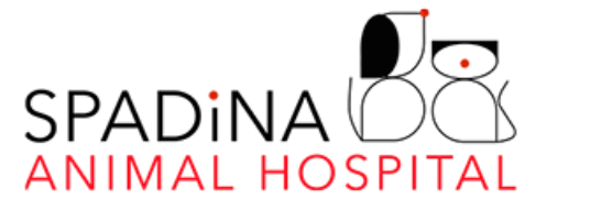 Spadina Animal Hospital