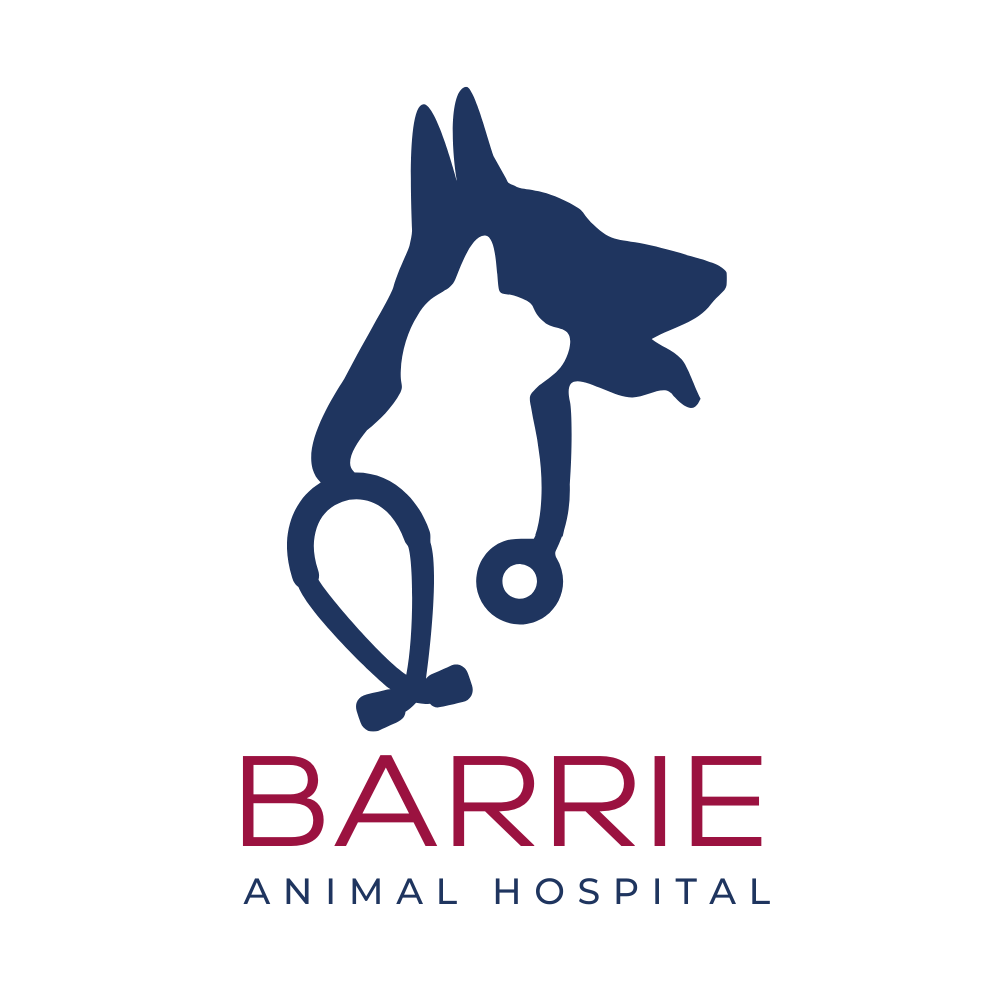 Barrie Animal Hospital