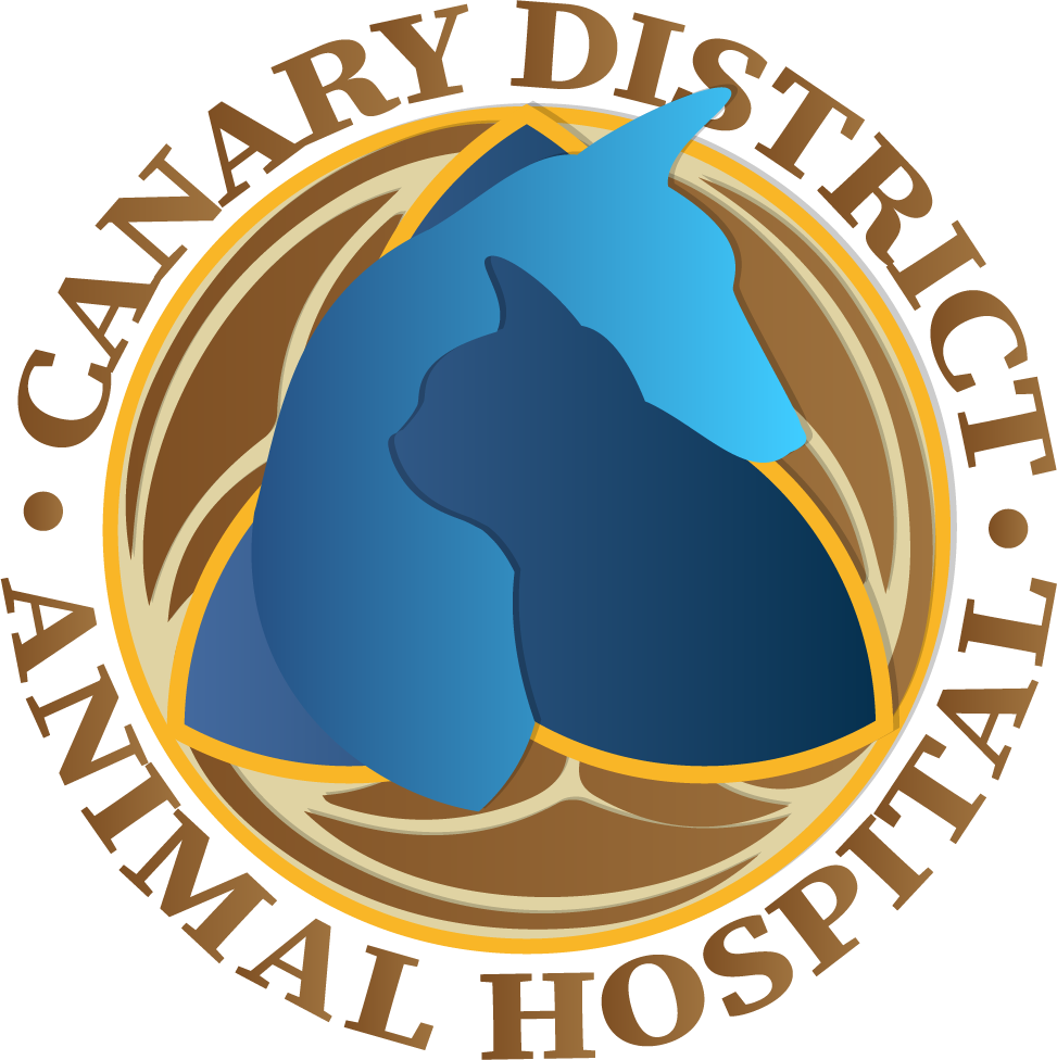 Canary District Animal Hospital
