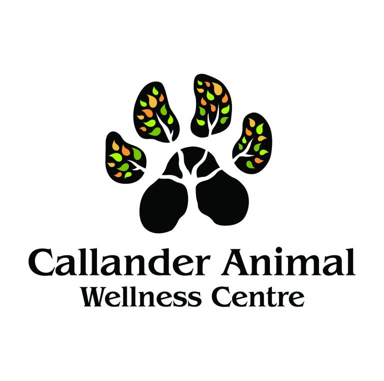 Callander Animal Hospital & Wellness Centre