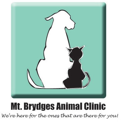 Mount Brydges Animal Clinic