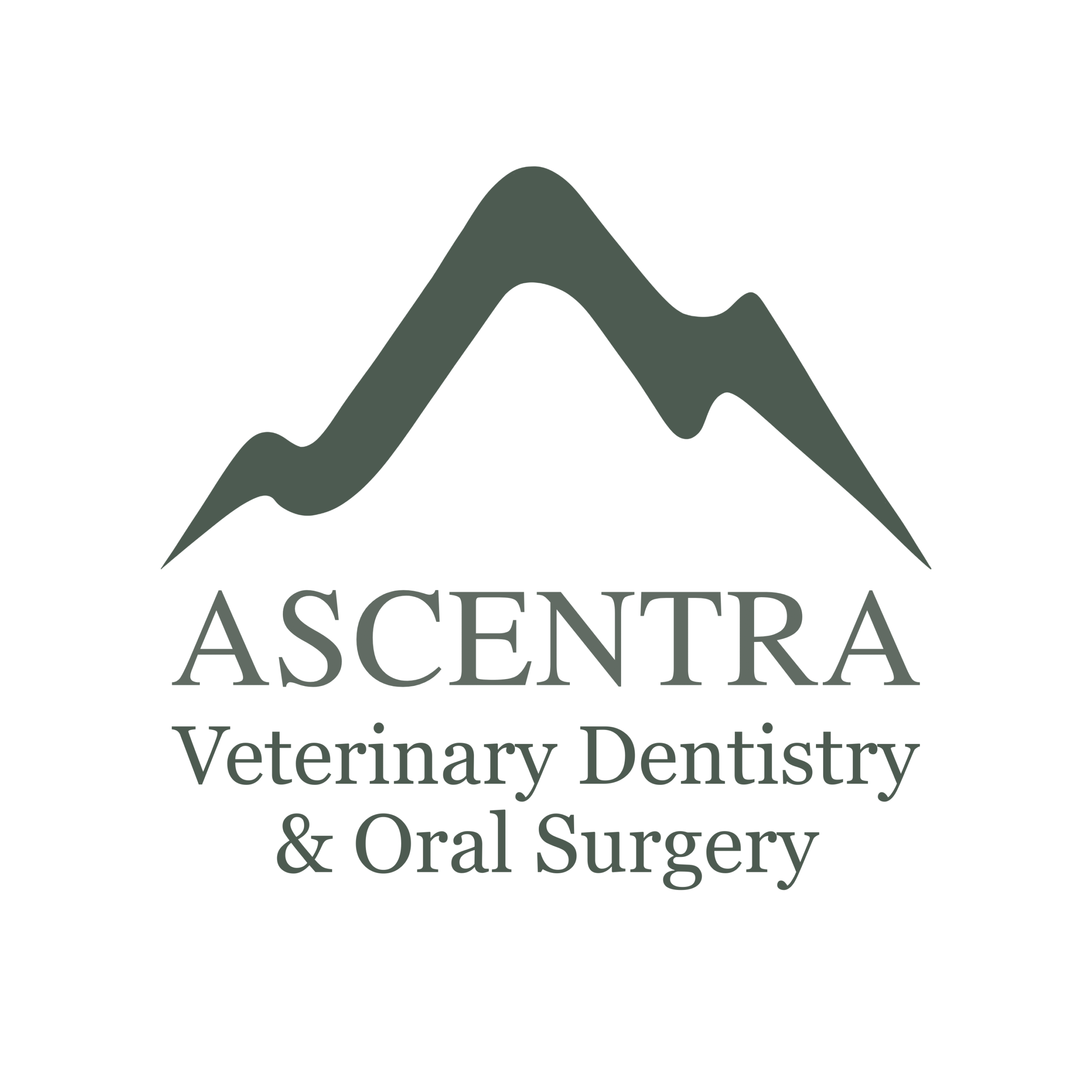 Ascentra Veterinary Dentistry and Oral Surgery