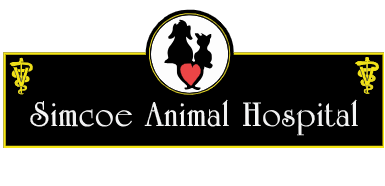 Simcoe Animal Hospital