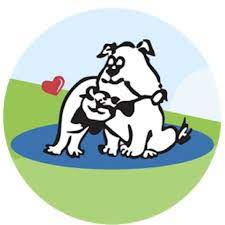 Bayview Hill Animal Hospital