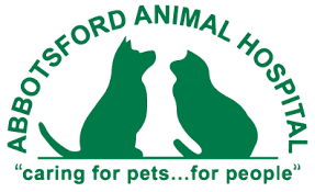 Abbotsford Animal Hospital