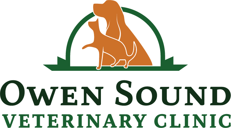 Owen Sound Veterinary Clinic