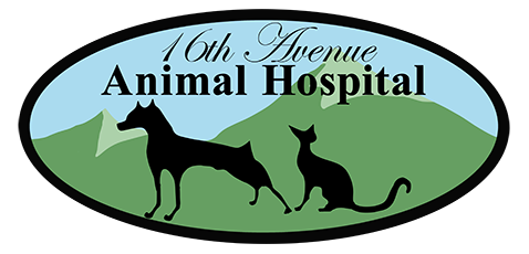 16th Ave Animal Hospital