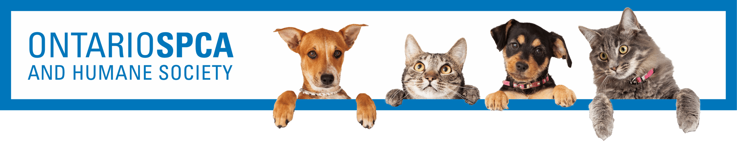 Ontario SPCA and Humane Society