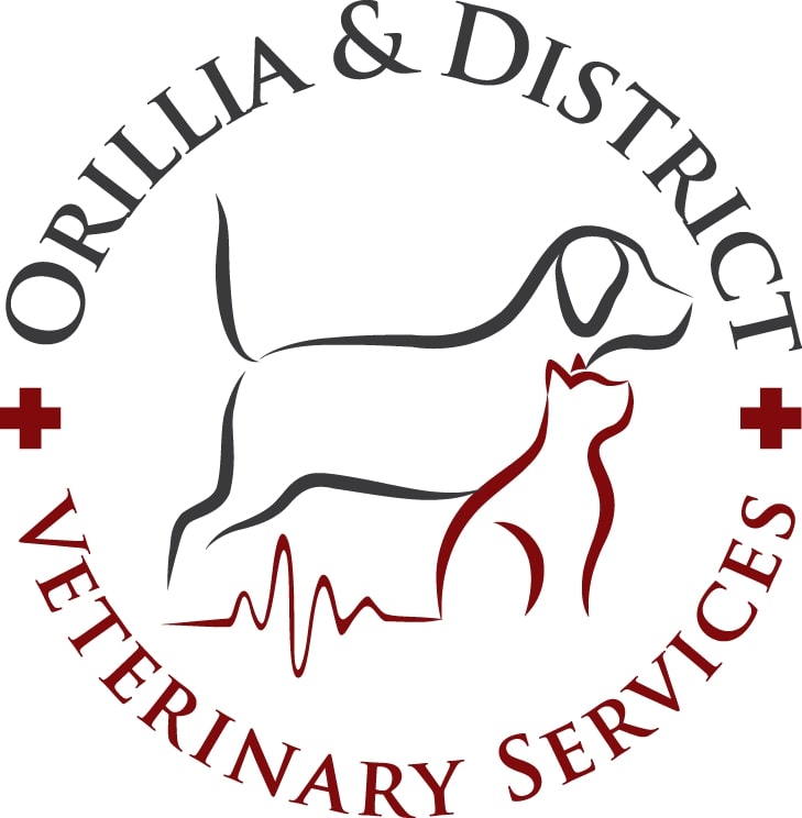 Orillia and District Veterinary Services
