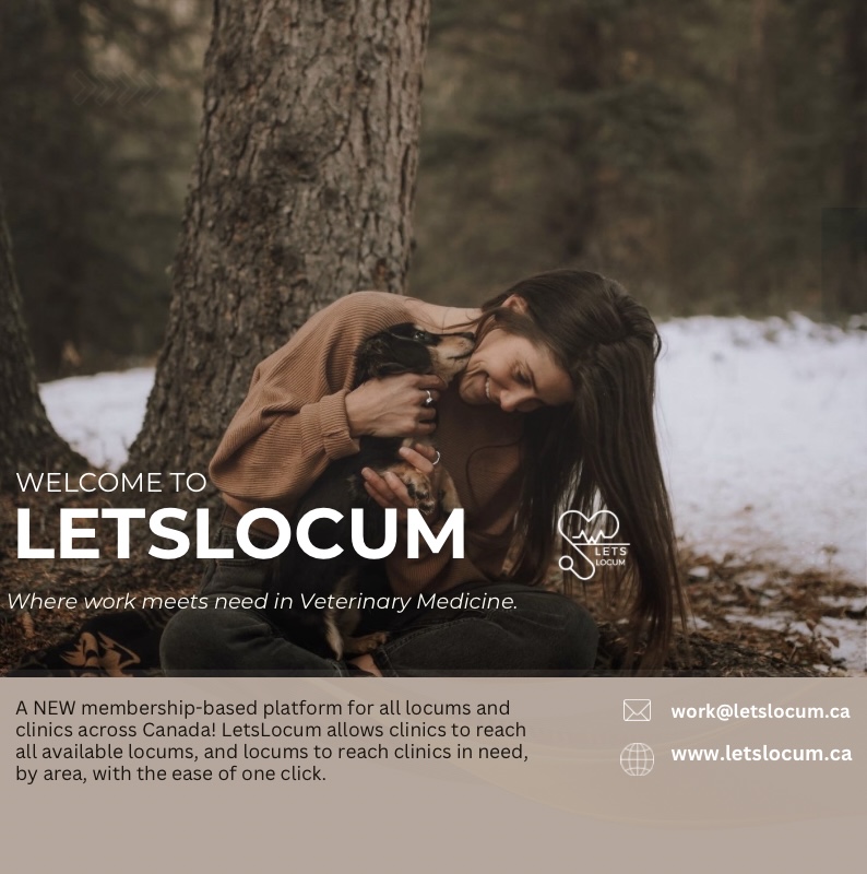 LetsLocum