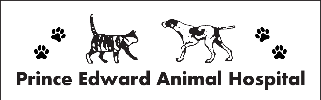 Prince Edward Animal Hospital