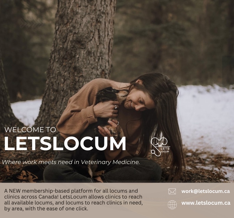 LetsLocum