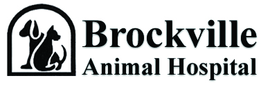 Brockville Animal Hospital