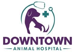 Downtown Animal Hospital