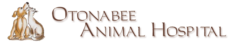 Otonabee Animal Hospital