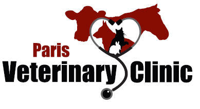 Paris Veterinary Clinic