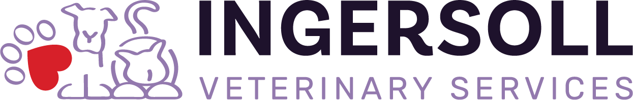 Ingersoll Veterinary Services