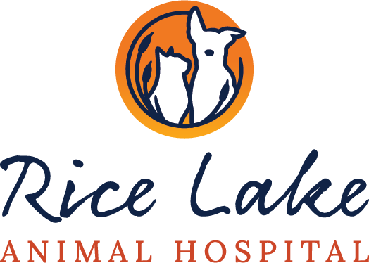 Rice Lake Animal Hospital