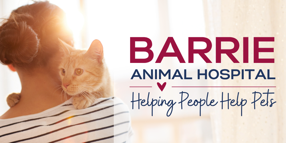 Barrie Animal Hospital
