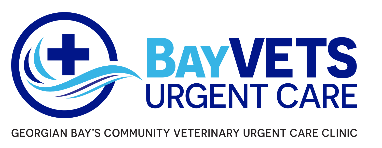 BayVETS Urgent Care Collingwood