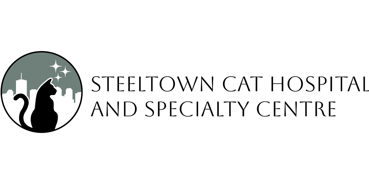 Steeltown Cat Hospital & Specialty Centre