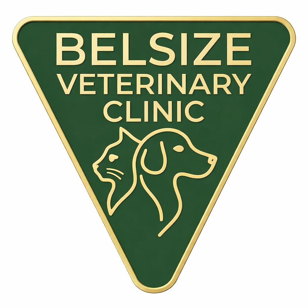 Belsize Veterinary Clinic