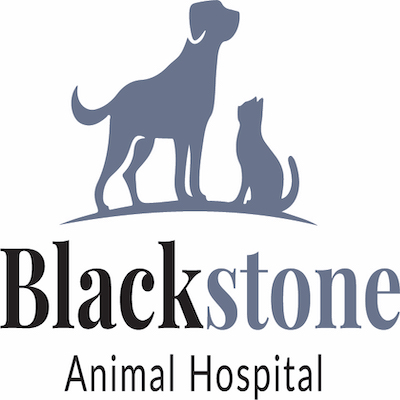 BLACKSTONE ANIMAL HOSPITAL