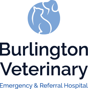Burlington Veterinary Emergency & Referral Hospital