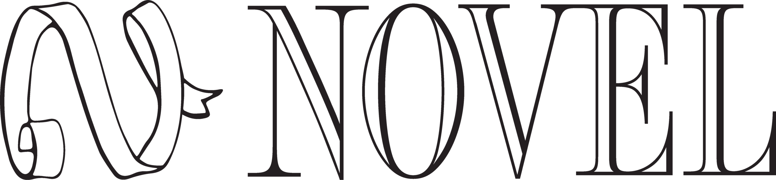 Novel