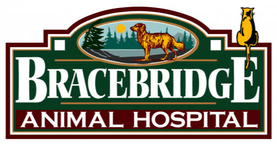 Bracebridge Animal Hospital