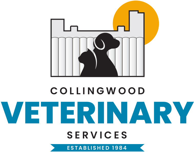Collingwood Veterinary Services