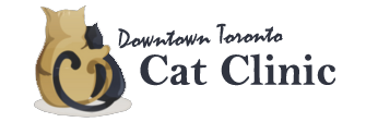 Downtown Toronto Cat Clinic