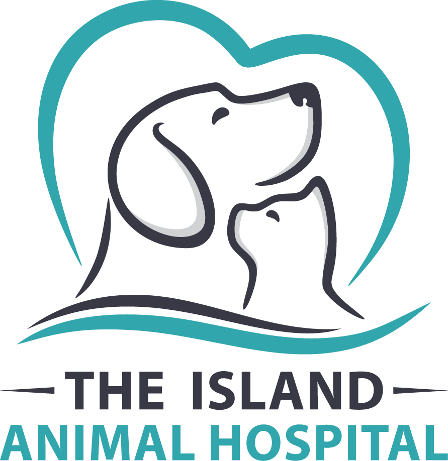 The Island Animal Hospital