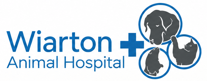 Wiarton Animal Hospital